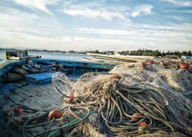 Shoretrade Trawler